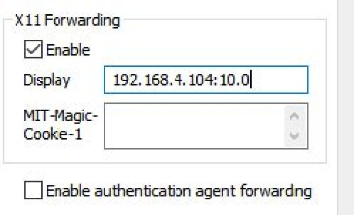 Cannot start firefox on X11 forwarding SSH session