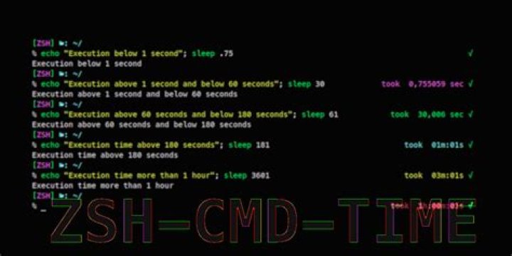 Change the output format of zsh's time