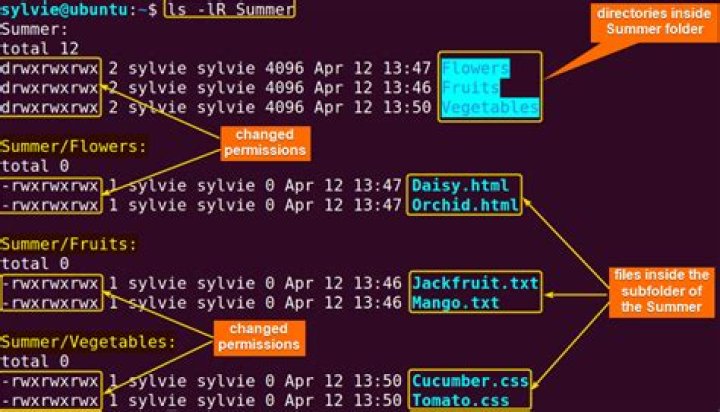 chmod files only in all subdirectories