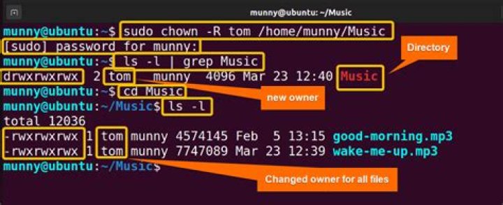 chown recursively changed permissions