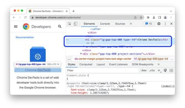 Chrome Dev Tool (F12) -> Network -> Protocol