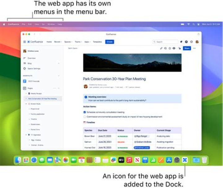 Chrome web application: change icon