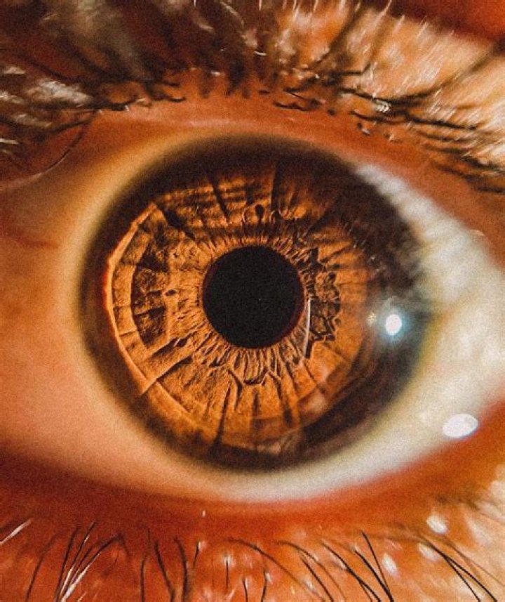 Close up