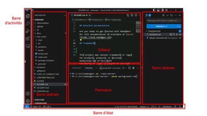 code pane in Visual Studio Code