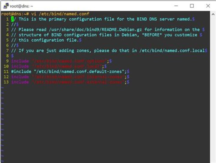 Commented lines in named.conf are still interpreted