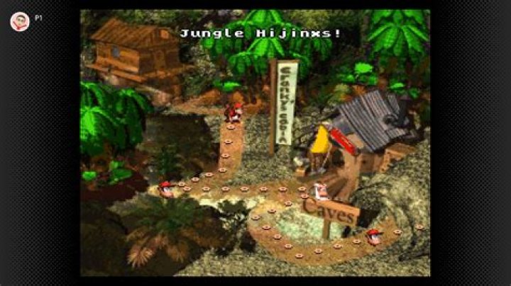 Completed DKC1 level