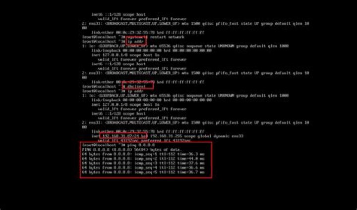 “Connect: Network is unreachable” when pinging 8.8.8.8