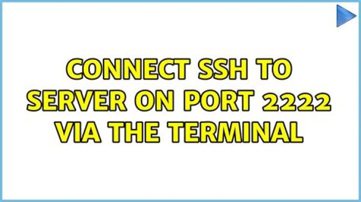 Connect SSH to server on port 2222 via the terminal