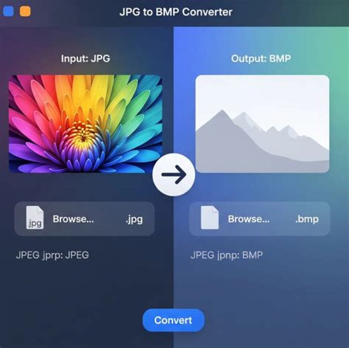 Convert a bunch of BMP files to JPEG on Linux