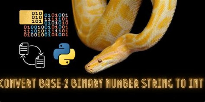 Convert base-2 binary number string to int