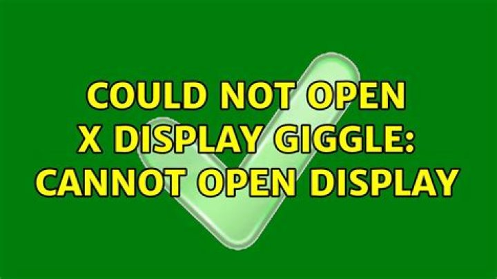 Could not open X display giggle: Cannot open display