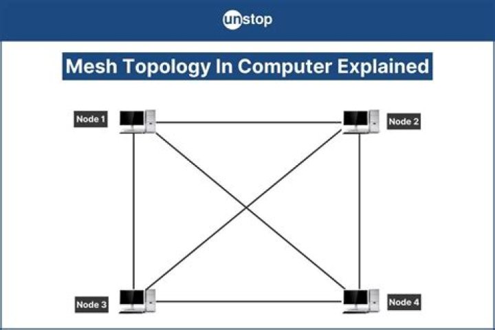 Could you explain the definition of mesh?