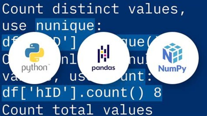 Counting unique values in a column in pandas dataframe like in Qlik?