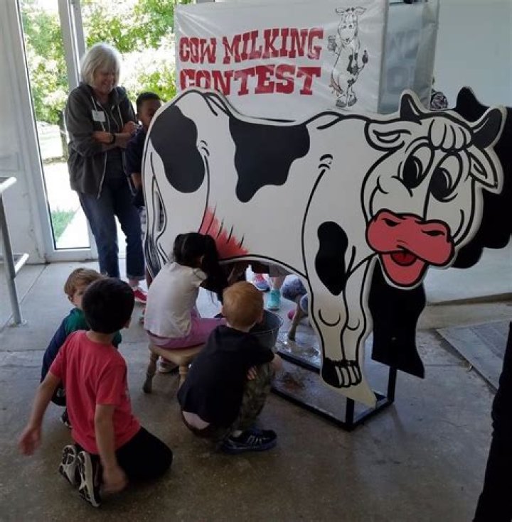 Cow King Event