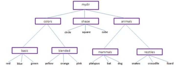 Create the directory structure using mkdir and touch