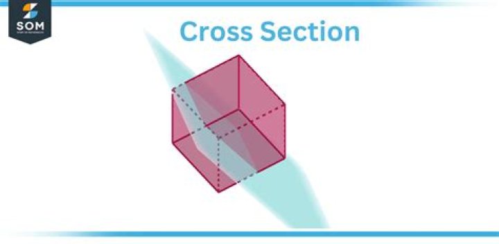 cross-section over the real line