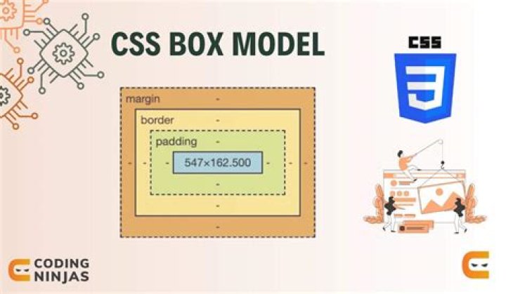 CSS Box Model