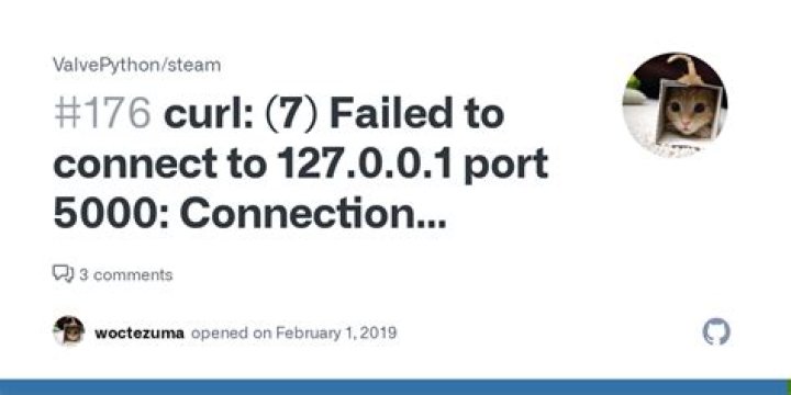 curl: (7) Failed to connect to 127.0.0.1 port 5000: Connection refused when using Flask