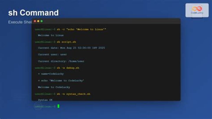 curl, sh, what do those commands mean?