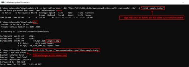 CURL to download a directory