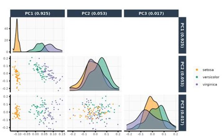custom ggplot theme