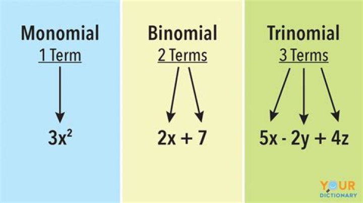 Definition of monomial