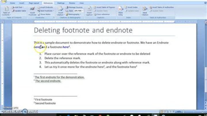 Deleting Footnotes in Word 2007