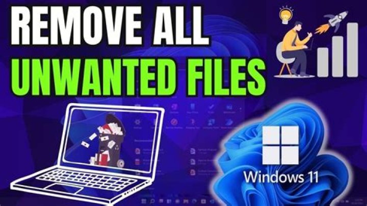 deleting unwanted untracked files and folder