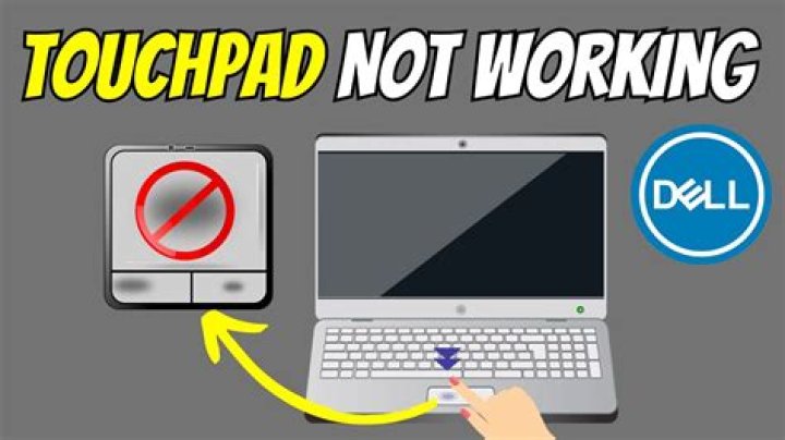 DELL INSPIRON 13 7000 - Touchpad problem