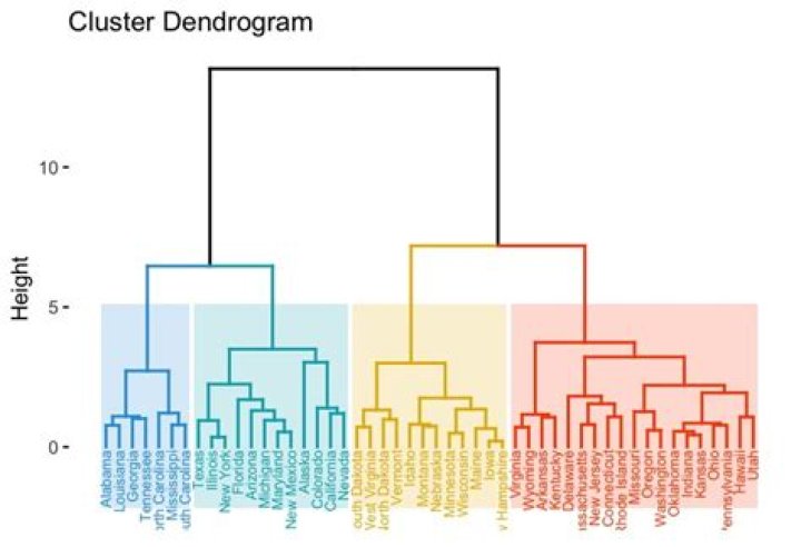 Dendrogram