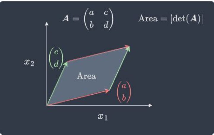 Determinant of Vector