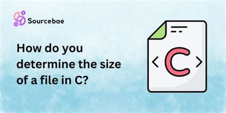 Determine file type in C