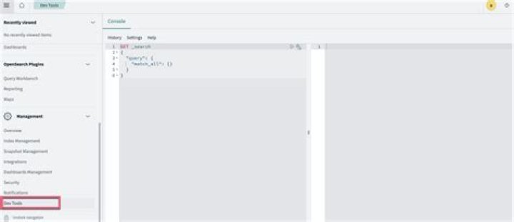 Dev Tools Console
