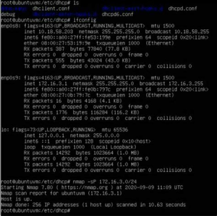DHCP server over internal adapter VirtualBox