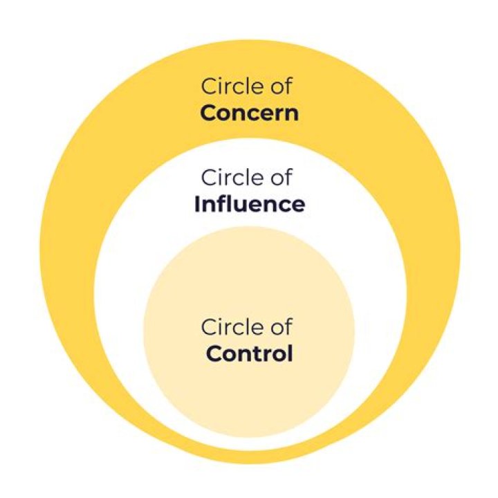 Diagram representing vectors of concern