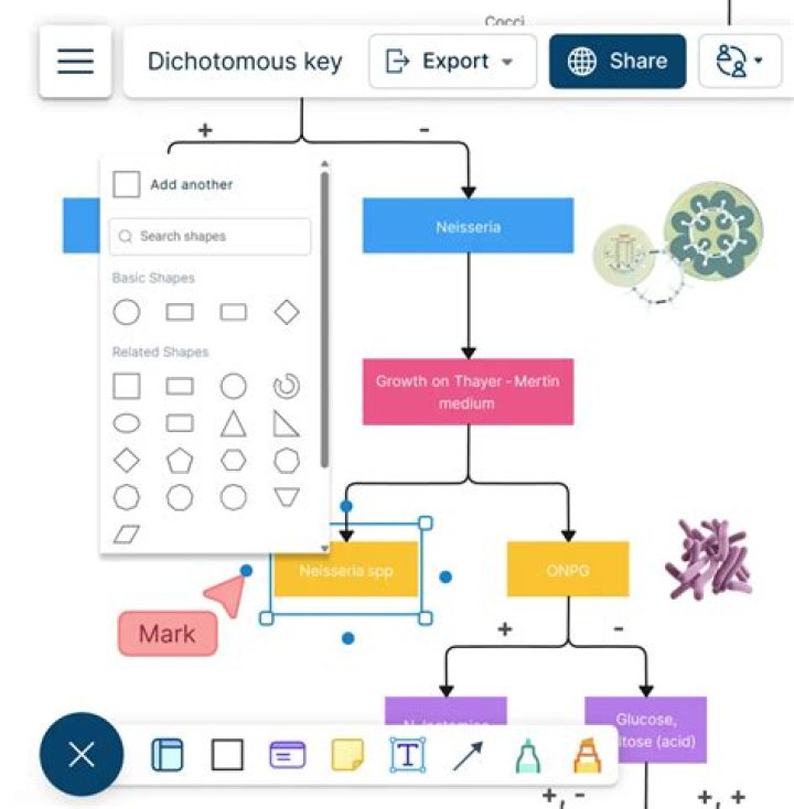 Dichotomous search algorithm in numeric optimization