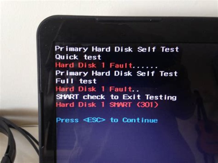Did a Primary Hard Disk Self Test on my HP Pavilion dm4; what do these results mean?