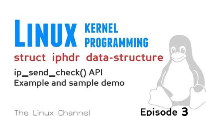 Difference between struct ip and struct iphdr