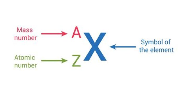 Difference between terms and atomic formula