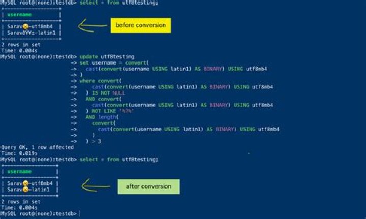 Differences between utf8 and latin1
