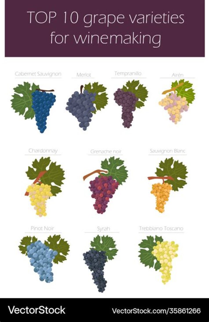 Different versions of Wine