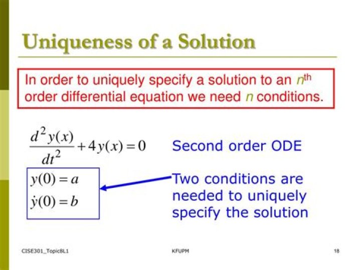 Differential Equations, unique solution