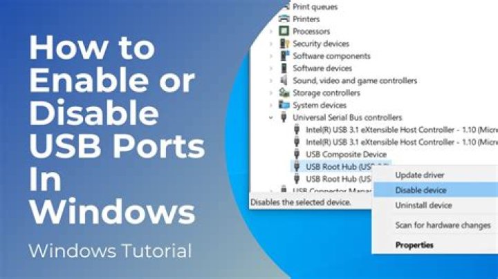 Disable USB hub