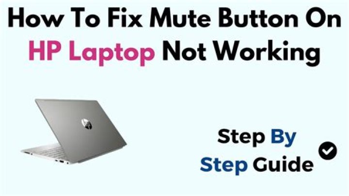 Disabling the mute button on internal laptop keyboard
