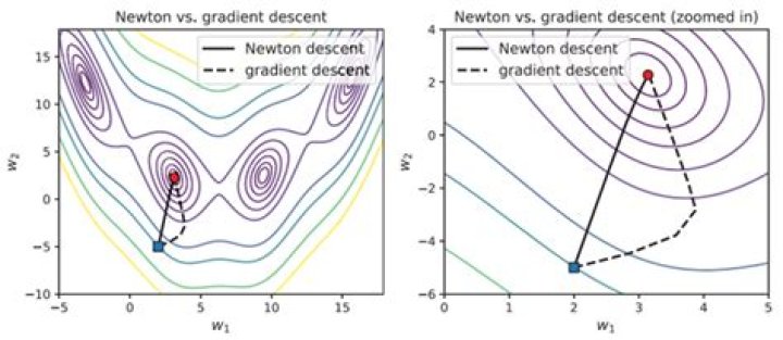 Disadvantage of Newton method in optimization compared with gradient descent