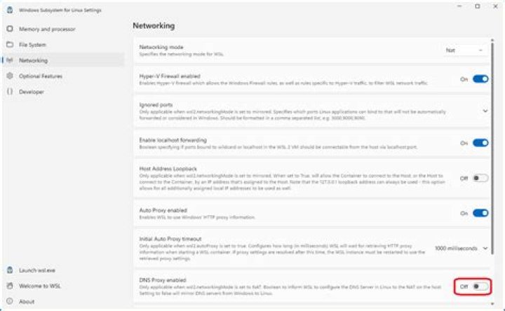 DNS not working on WSL
