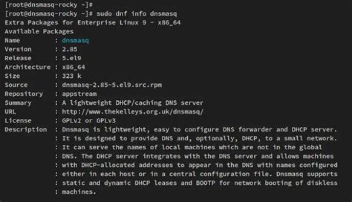 dnsmasq fails to answer queries on ubuntu 16.04