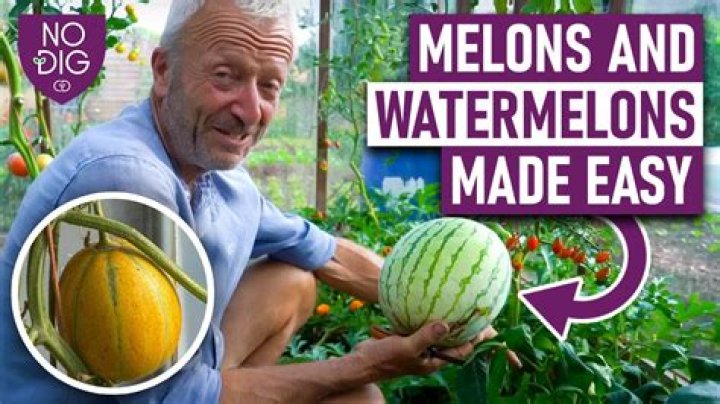 Do Melons prefer to grow in certain directions?