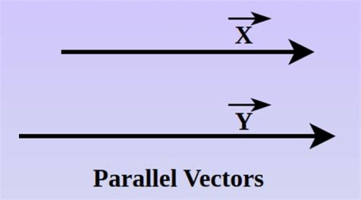 Do parallel vectors have identical unit vector?