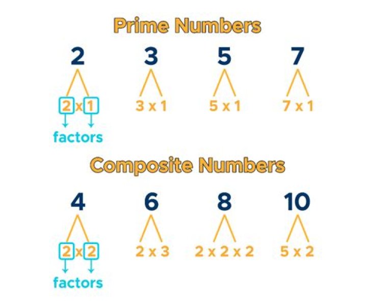 Do prime numbers have prime factors?
